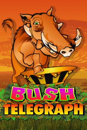 Демо игра Bush Telegraph играть онлайн | Casino X Online бесплатно