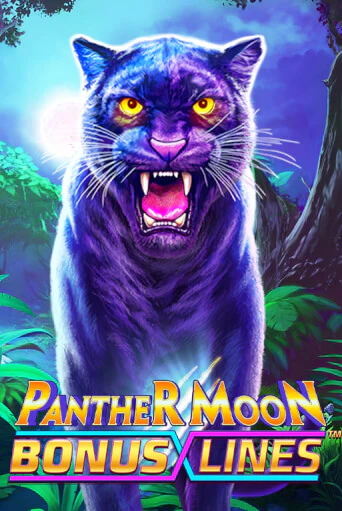 Демо игра Panther Moon: Bonus Lines™ играть онлайн | Casino X Online бесплатно