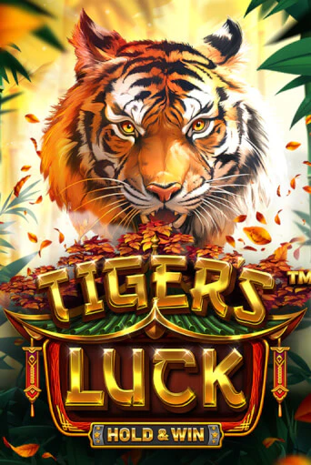 Демо игра Tiger's Luck - Hold & Win играть онлайн | Casino X Online бесплатно