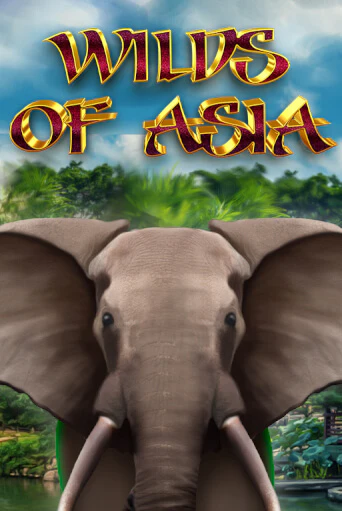 Демо игра Wilds of Asia играть онлайн | Casino X Online бесплатно